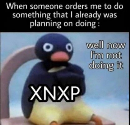 45 Most Relatable INTP Memes - Any Introvert